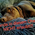 Blockhausen Luxus