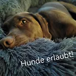 Blockhausen Luxus *