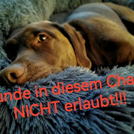 Blockhausen Luxus