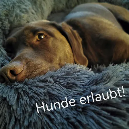 Blockhausen Luxus *